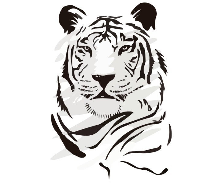 TIGER SMS