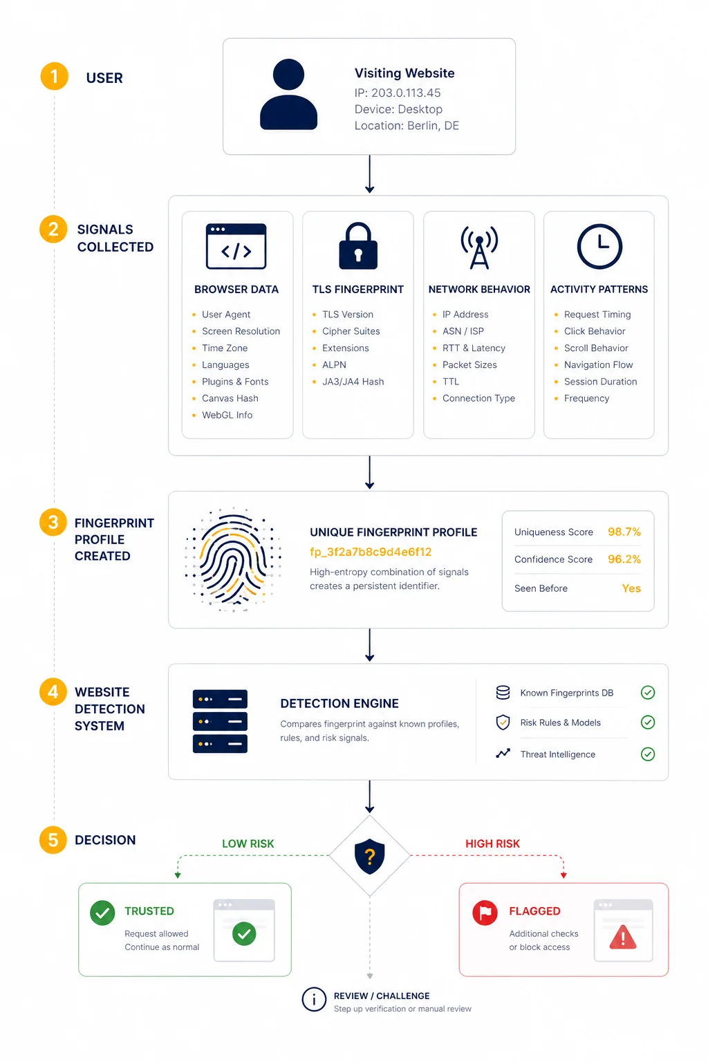 Detailed technical flowchart titled "Fingerprint Detection Workflow" showing a 5-step process: 1. User (visiting website with IP, device, and location data), 2. Signals Collected (comprehensive data points from Browser Data, TLS Fingerprint, Network Behavior, and Activity Patterns), 3. Fingerprint Profile Created (generating a unique identifier like fp_3f2a7b8c9d4e6f12 with high uniqueness and confidence scores), 4. Website Detection System (comparing against known fingerprints and risk models), and 5. Decision (categorizing as Trusted/Low Risk or Flagged/High Risk). The diagram explains how websites identify and track users beyond simple IP addresses