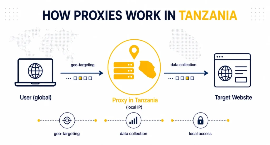 Tanzania proxy usage for web scraping and data extraction