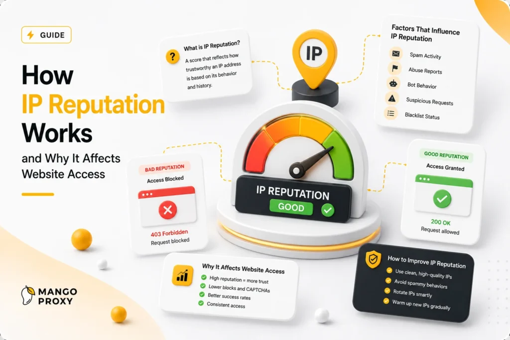 How IP Reputation Works and Why It Affects Website Access