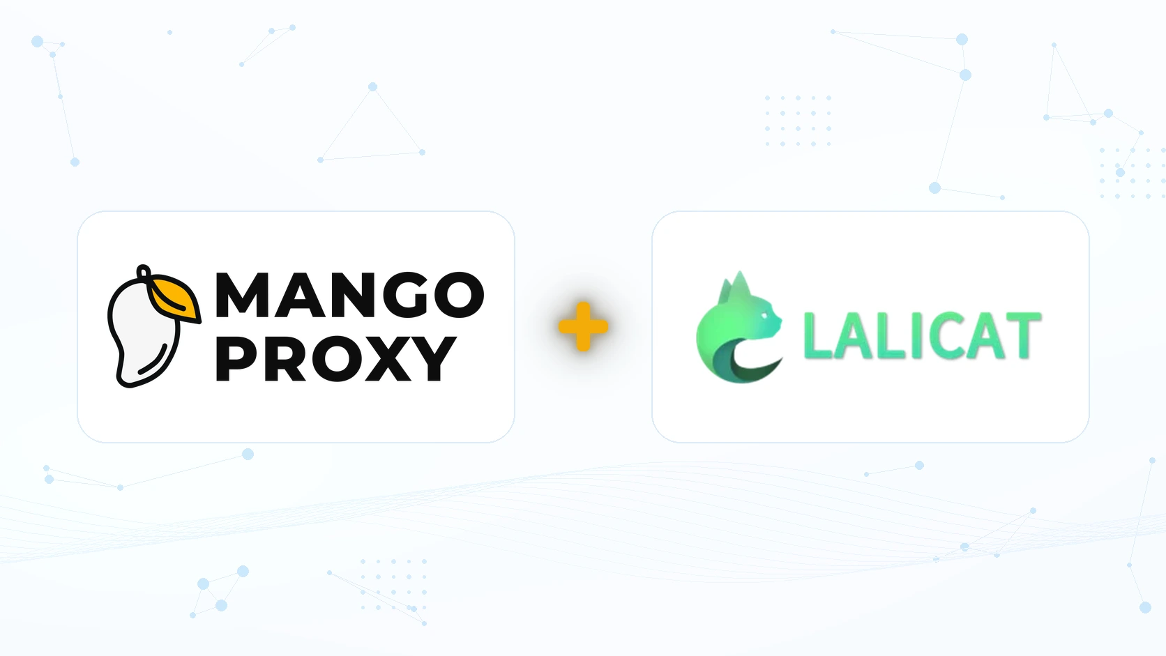 How to Set Up a Proxy in Lalicat: Step-by-Step Guide