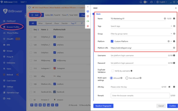 Basic profile settings in BitBrowser before launching the browser
