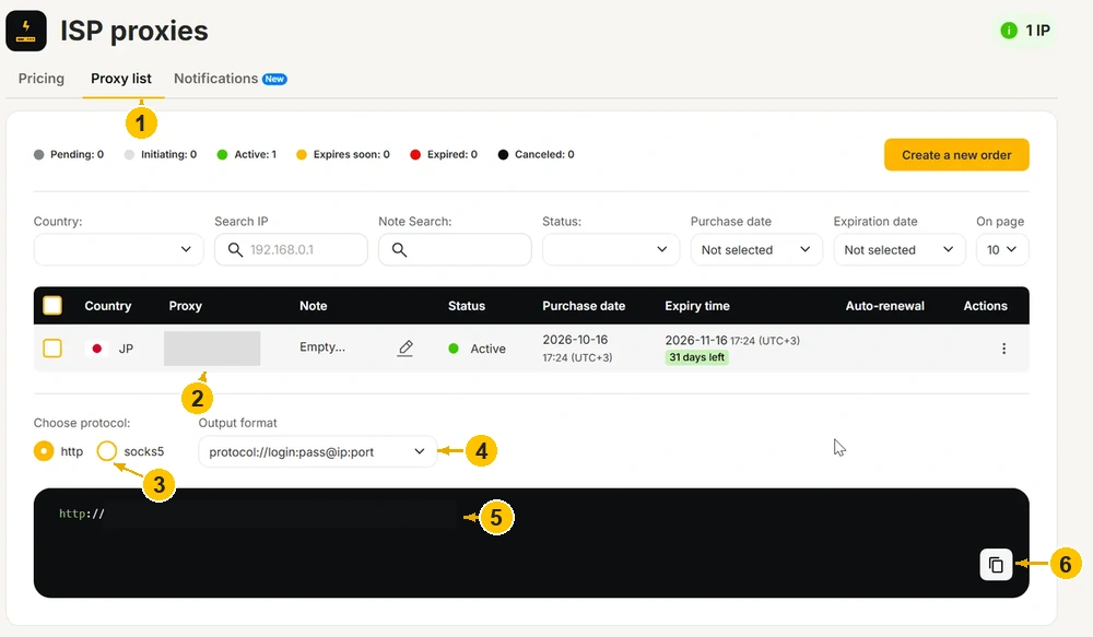 Static ISP proxy details in the MangoProxy dashboard, including the protocol, output format and copy control.