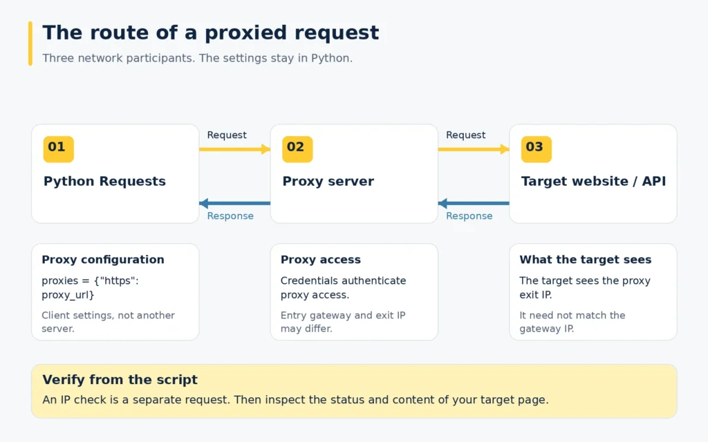 Request and response route between Python Requests, a proxy server and a target, with proxy settings shown beside the client and the exit IP visible to the target.